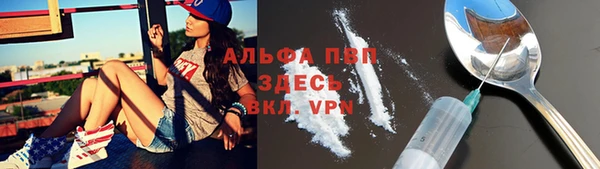 герыч Пересвет