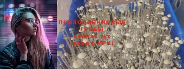 стаф Пестово