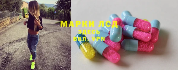 стаф Пестово