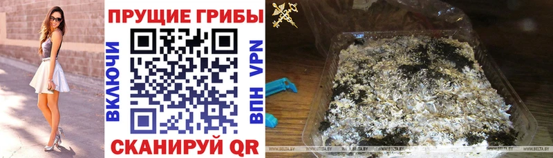 Псилоцибиновые грибы Cubensis  Купить  Игарка 