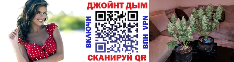 Конопля White Widow  Купить где  Игарка 